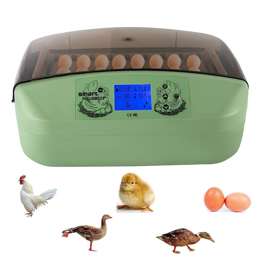 Couveuse Automatique 26 Œufs – Écran Tactile Couleur, Rotation & Humidification Auto, Idéale Poule, Caille, Canard