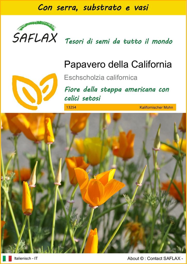 SAFLAX Insieme di coltivazione - Papavero della California Immagine del prodotto 
