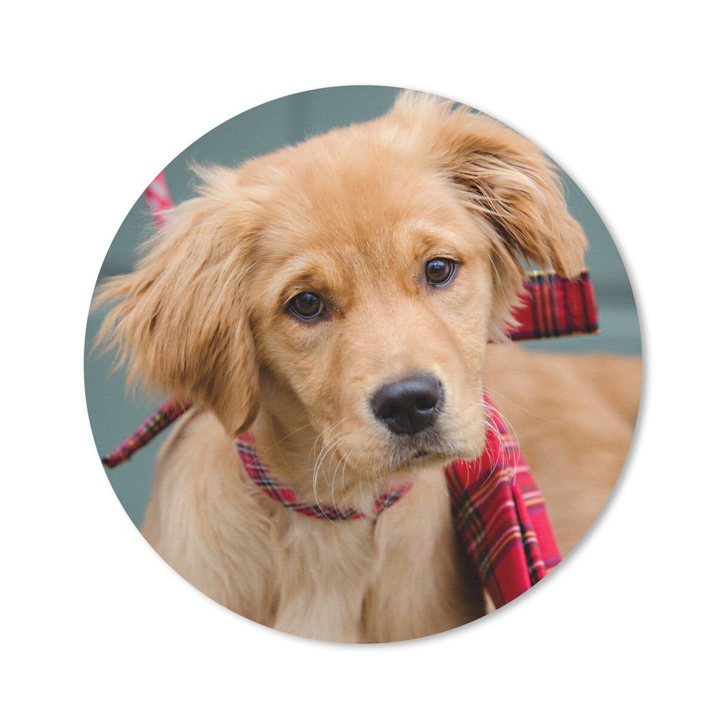MuchoWow Mauspad Mousepad Golden Retriever Welpe mit Schleife 20x20 cm - Mousepads - Maus Mat - Pad - Mausunterlage - Schreibtischmatte