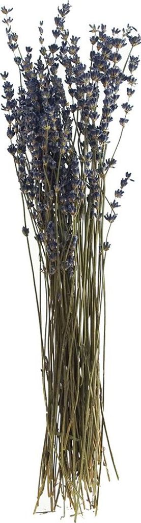 Lavendel natur blau, ca. 20 g, L ca. 30 cm Produktbild 