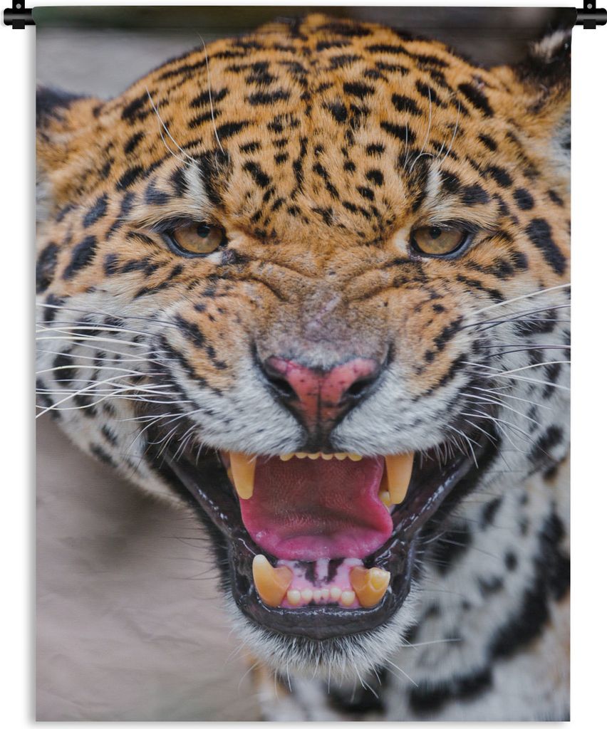 MuchoWow Wandteppich Wandbehang Jaguar - Makro - Tier 90x120 cm Tapisserie Dekoration Wandtuch - Wanddeko