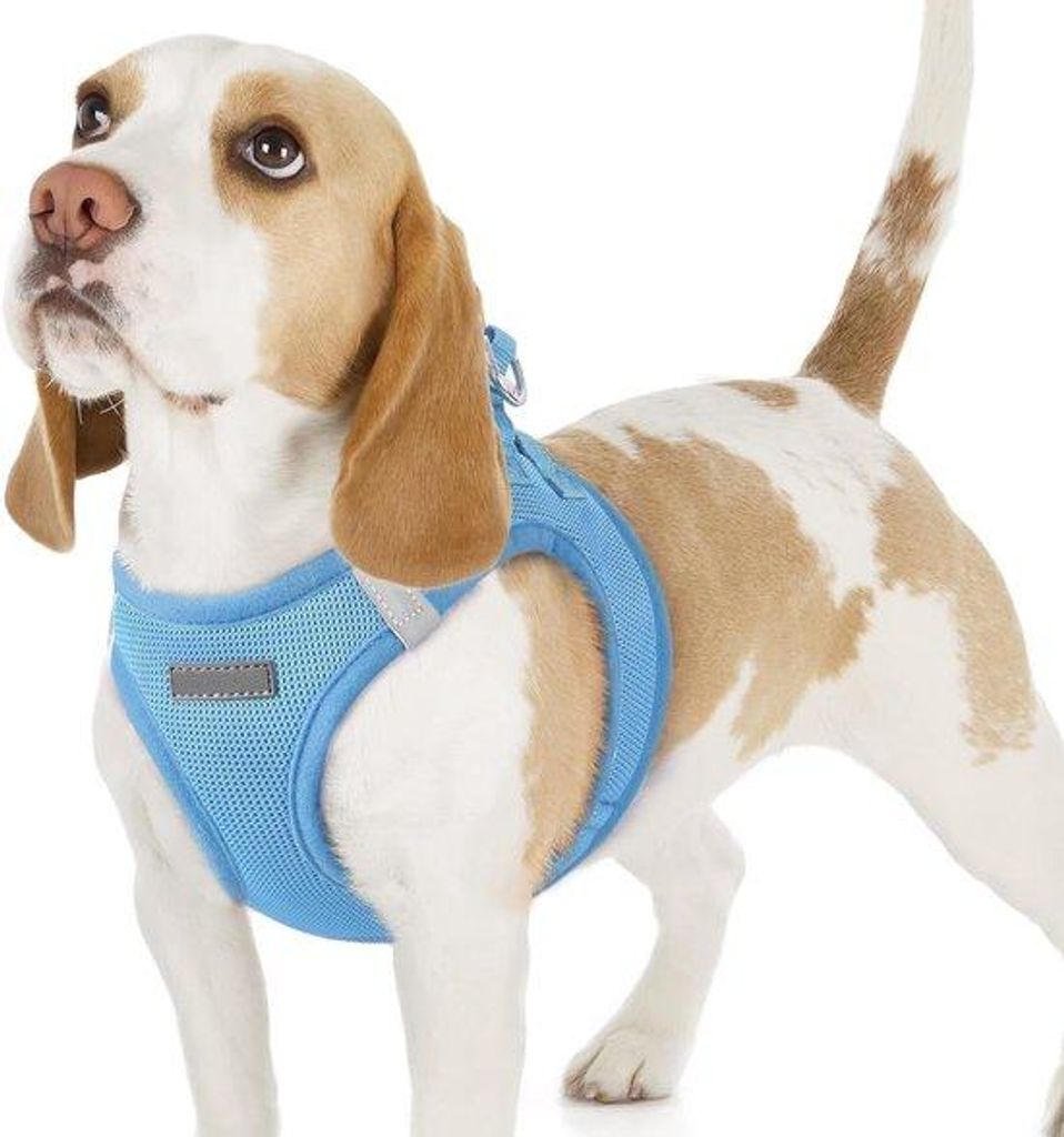 Famanu Step-in Hundegeschirr, atmungsaktiv und weich, mit reflektierenden Details, verstellbar, babyblau, Größe M
