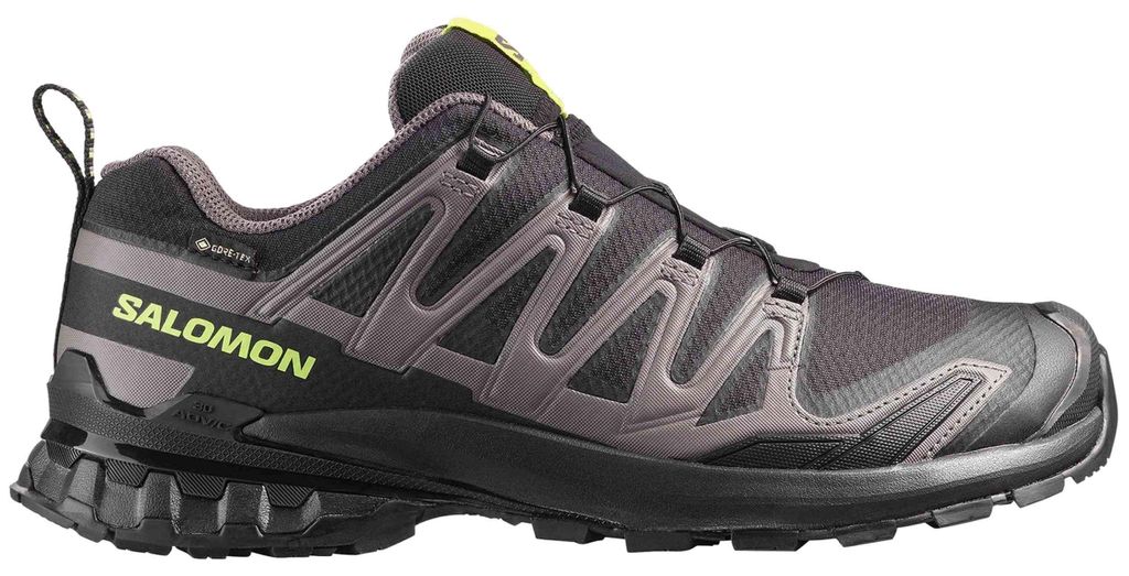 Salomon XA Pro 3D v9 GTX L47987300