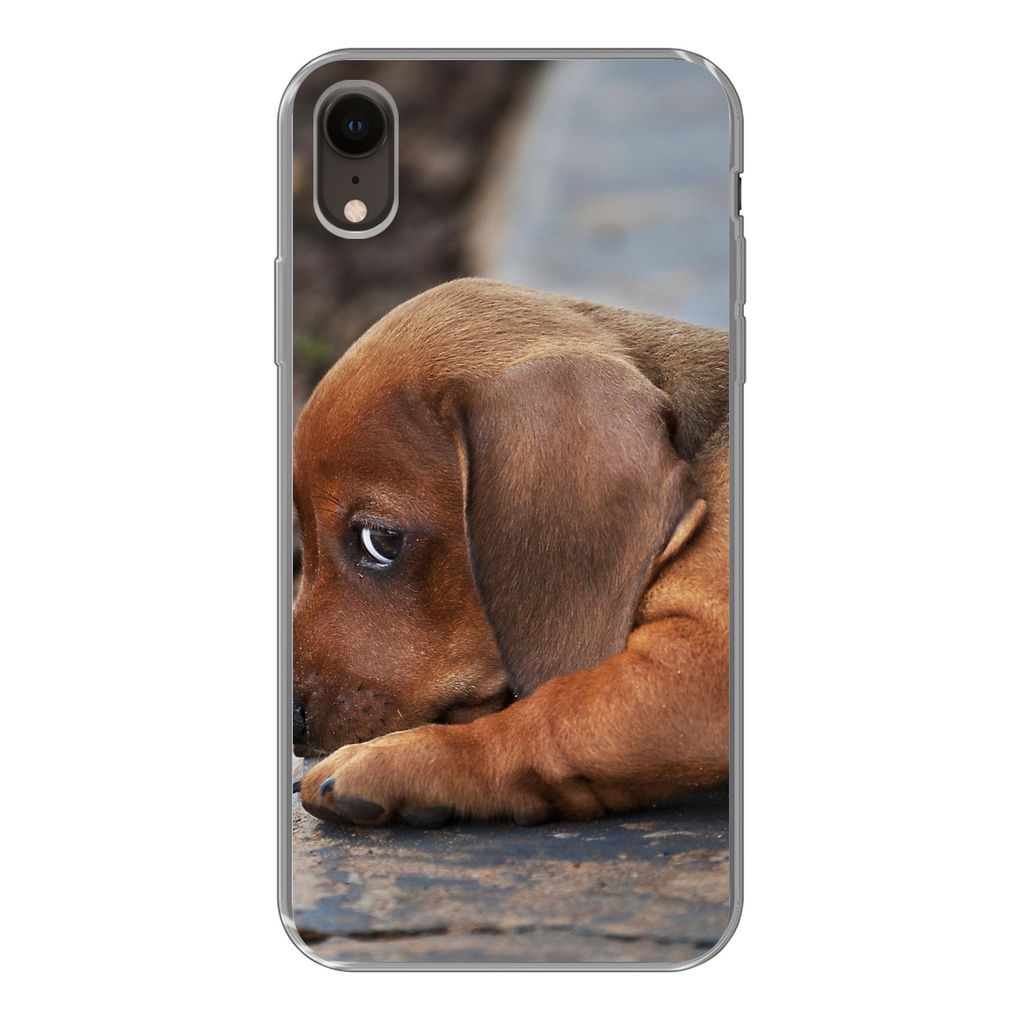 MuchoWow Handyhülle Schutzhülle Hülle für iPhone XR Dackelwelpe liegt am Rande des Bürgersteigs Silikon Softcase Handy Hülle - Schutzdeckel