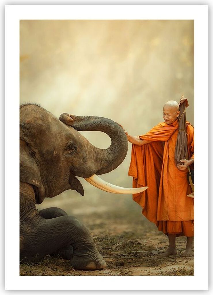Poster - Poster ohne Rahmen - Elefant Mönch Stoßzahn - 50x70 cm - Wand Bild - Wanddeko - Wandbilder - Kunstposter - Wandposter - Bilder - Kunstdr...