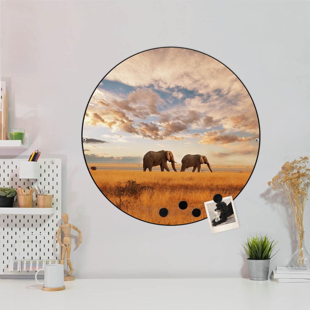 Design Stahlmagnettafel Schwarz Rund 47cm Elefanten