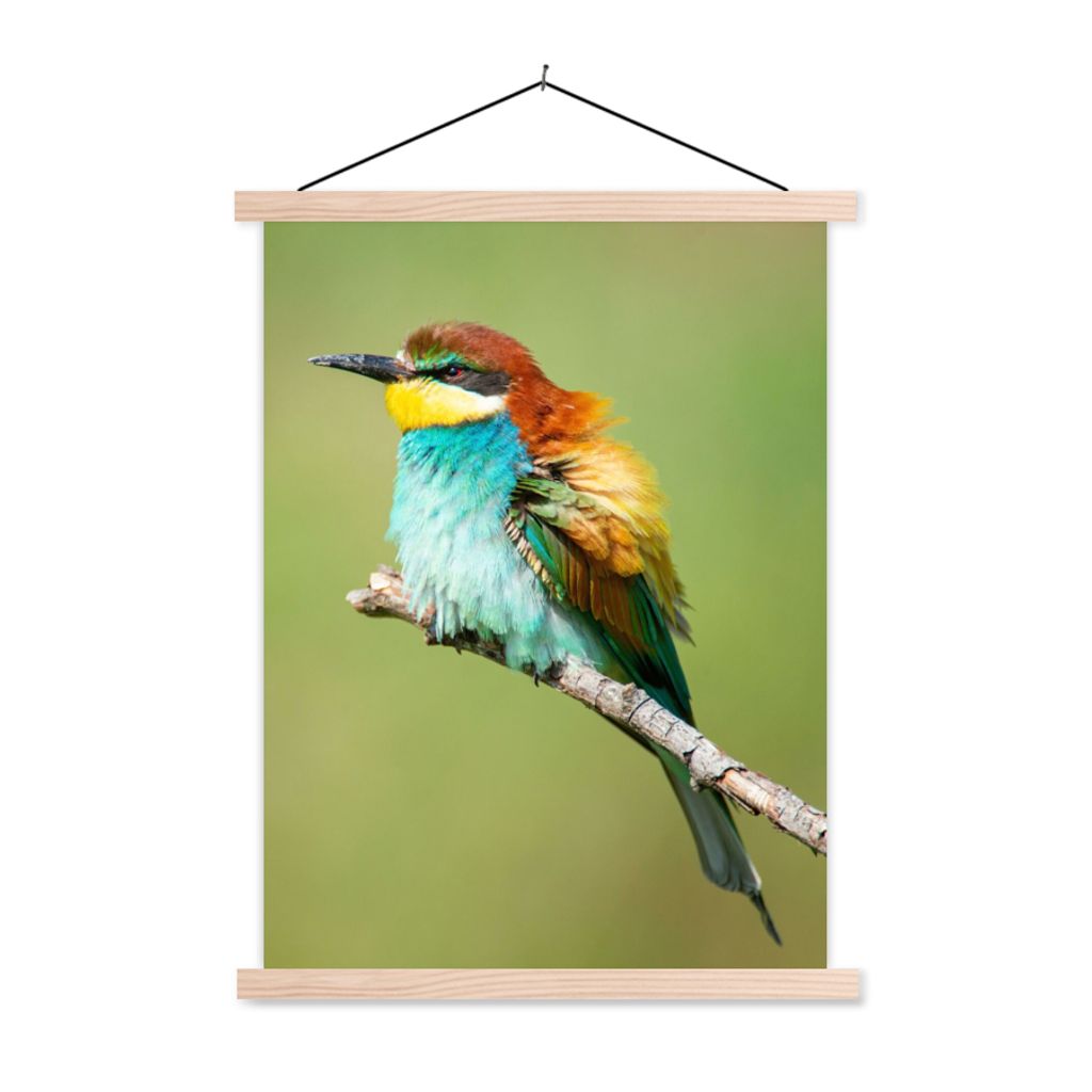 MuchoWow Textilposter Vogel - Tiere - Bienenfresser 40x53 cm mit holzfarbenen Rahmen - Schlafzimmer