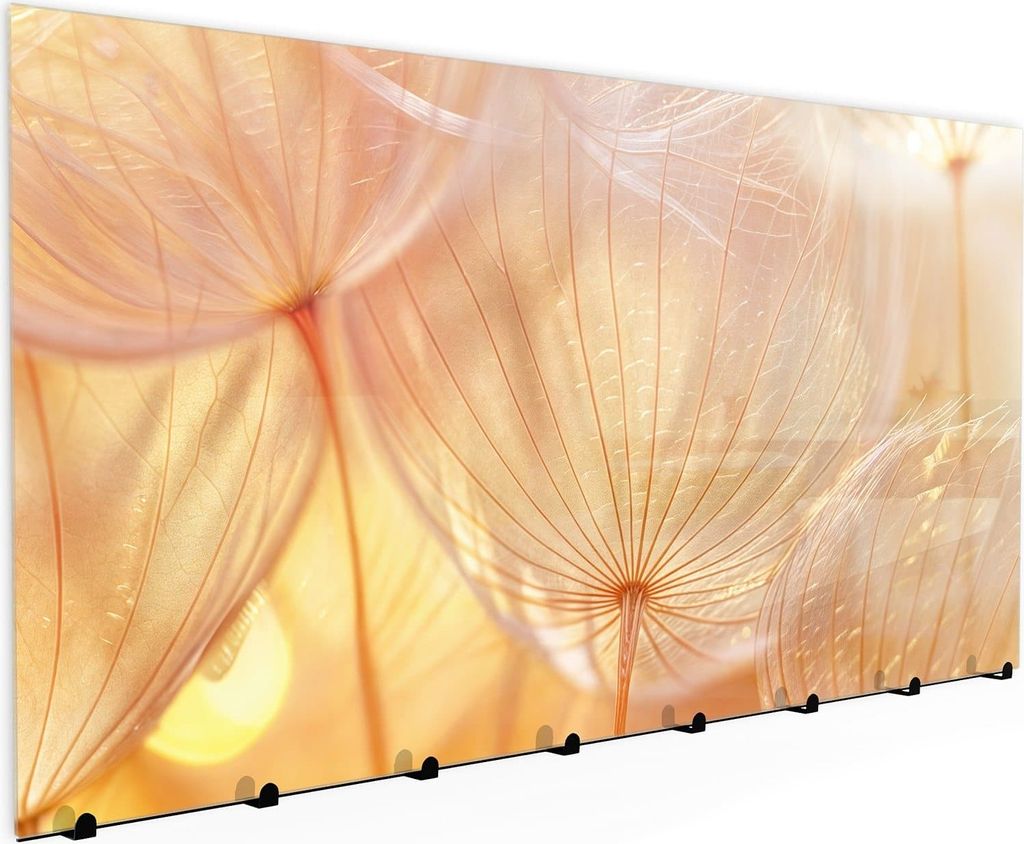Wandgarderobe mit Magnetwand & Memoboard aus Glas Dandelion Makroaufnahme