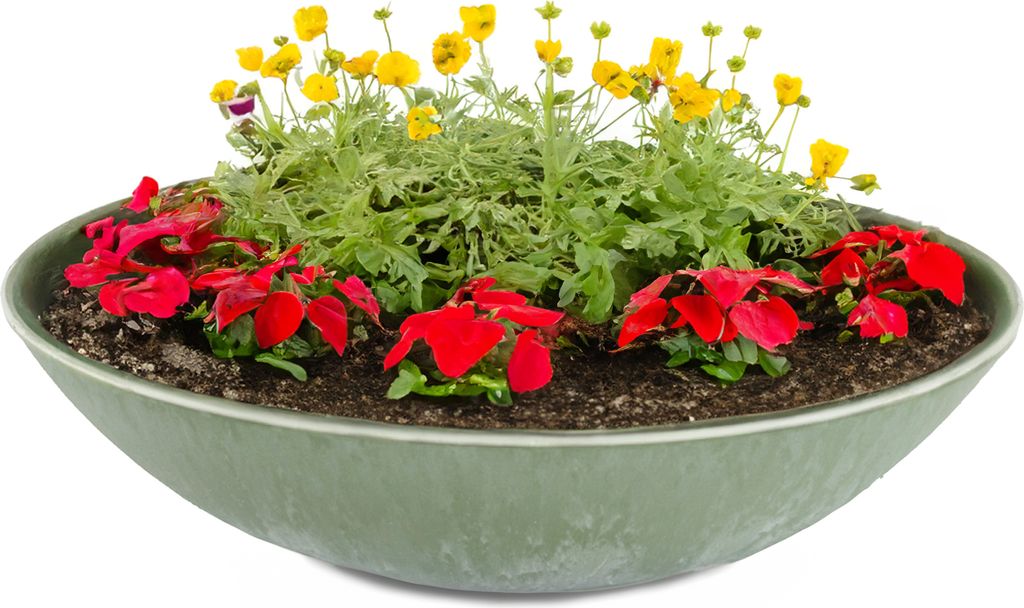 Flache Pflanzschale für draussen Dekoschale rund olivgrün 45 cm