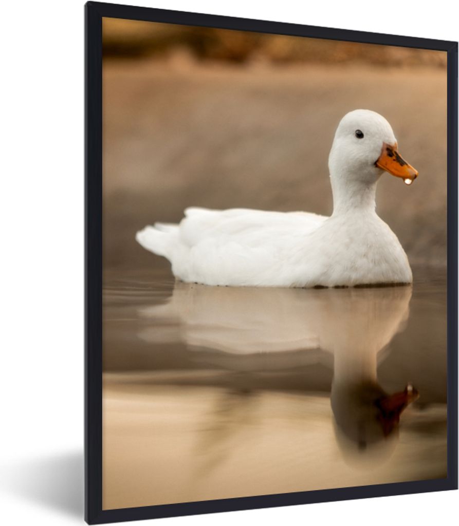 MuchoWow Gerahmtes Poster Ente - Vogel - Wasser - Weiß 30x40 cm - Poster mit Schwarzem Bilderrahmen Wandposter Rahmen Foto Bilder - Wanddeko - K...