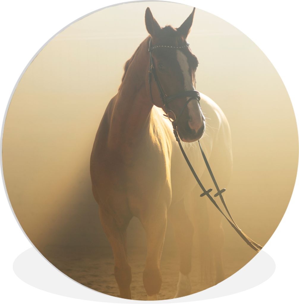 MuchoWow Rundes Wandbild - Runde Bilder Pferd - Licht - Sand Ø 30 cm Kreis Wanddekoration Kunststoff - Wandkreis - Wandschmuck - Schlafzimmer - ...
