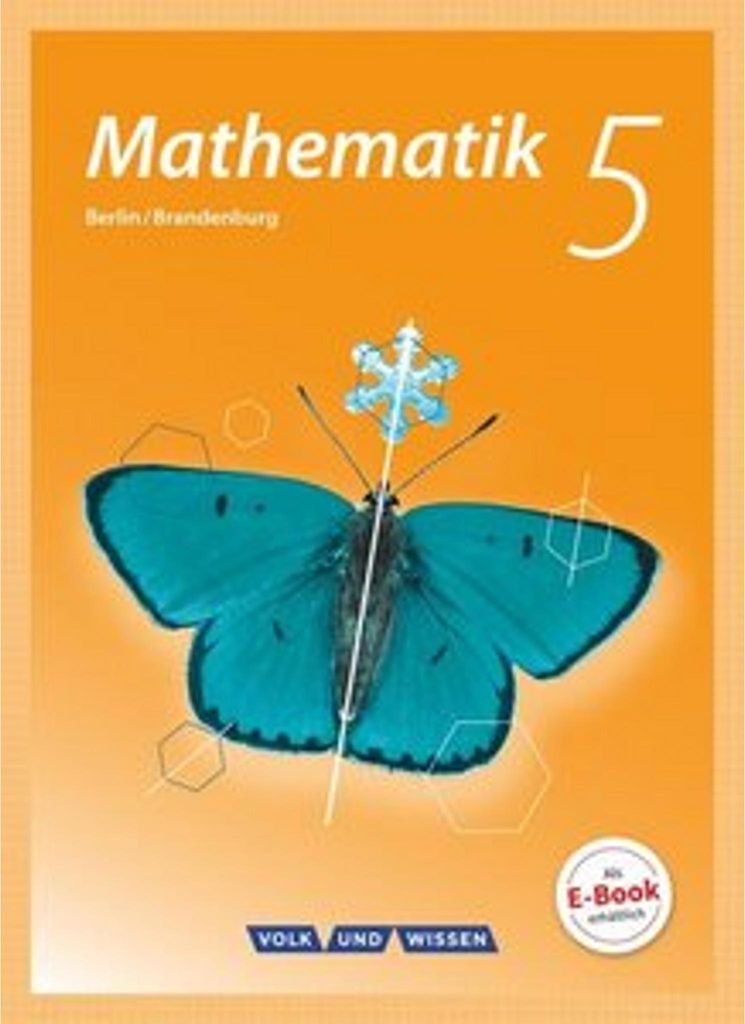 Mathematik  5. Schuljahr. Schülerbuch Grundschule Produktbild 