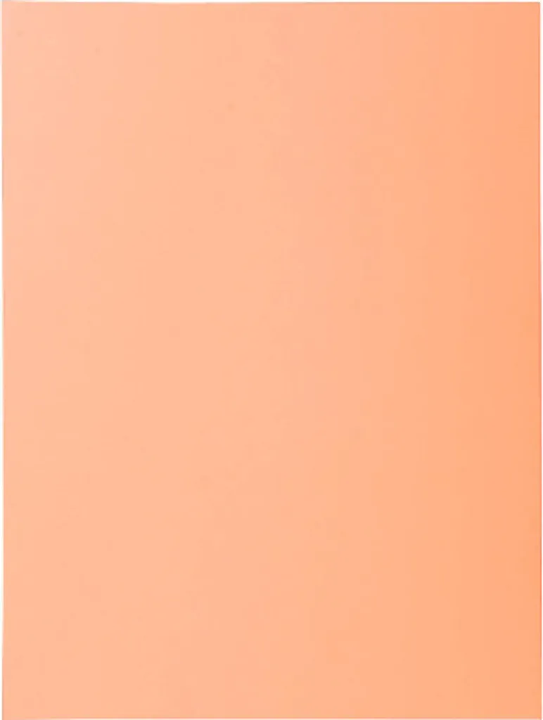 Chemise à 2 Rabats 210g Exacompta 24x32cm Bulle Haute Résistance