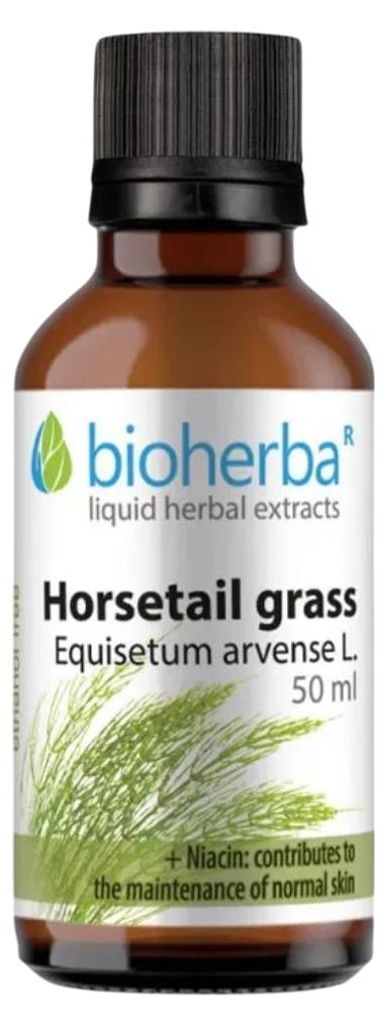 Přeslička (Horsetail) kapky – tinktura – 50 ml – Bioherba Obrázek produktu 