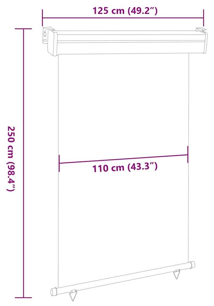 vidaXL Balkon-Seitenmarkise 125x250 cm Grau Produktbild 
