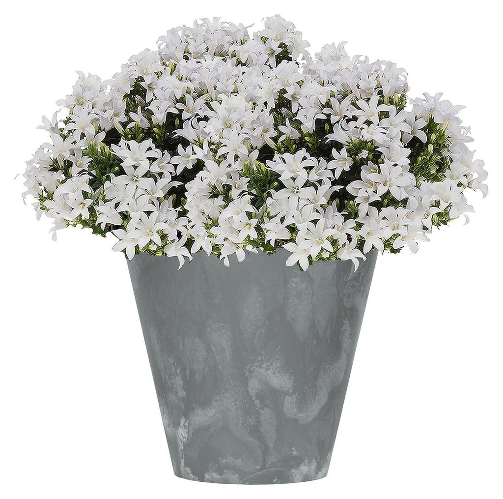 Prosperplast Blumentopf - Kunststoff - Bronze - D30 x 28 cm Produktbild 