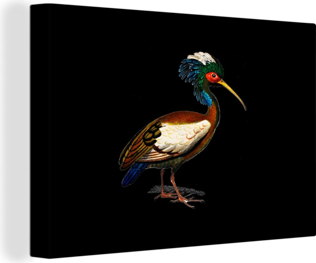 OneMillionCanvasses - Leinwandbilder - 140x90 cm, Illustration eines Ibis vor einem schwarzen Hintergrund, Wandbilder Kunstdruck Wanddekoration -...