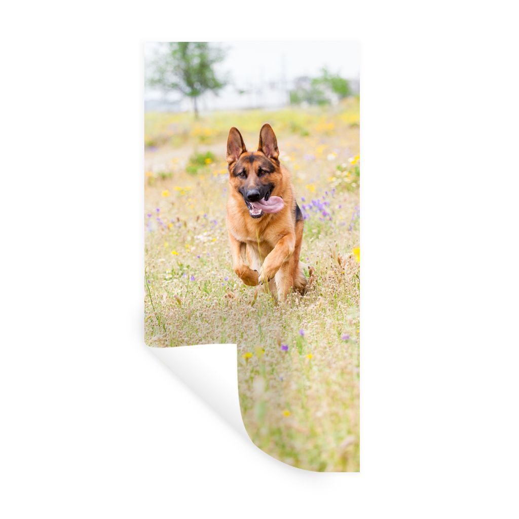 MuchoWow Wandtattoo Wandsticker Wandaufkleber Deutscher Schäferhund spaziert zwischen bunten Blumen 80x160 cm Selbstklebend und Repositionierbar...