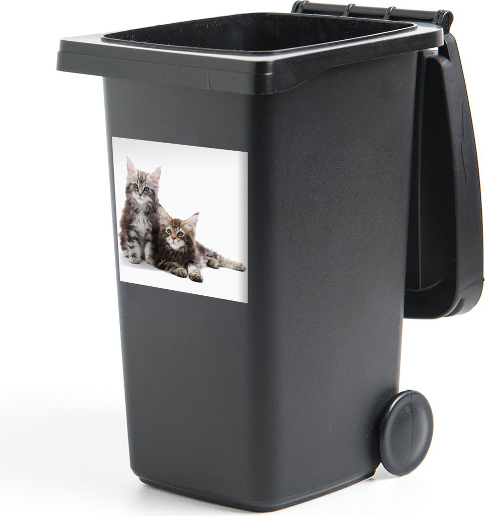 MuchoWow Mülltonnenaufkleber Zwei bezaubernde Maine Coon Kätzchen 40x40 cm - Abfall-Aufkleber - Container - für Abfallcontainer