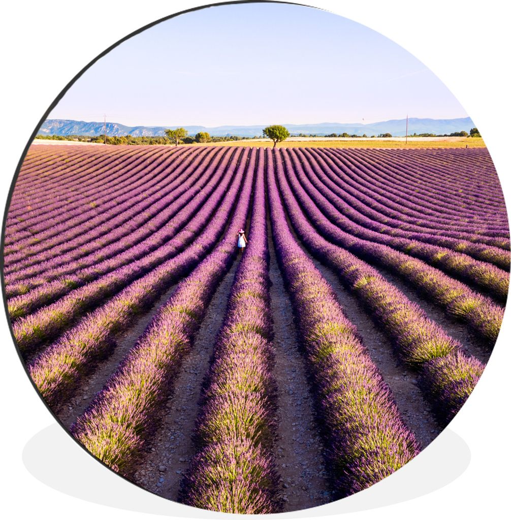 MuchoWow Aluminium Wandkreis Lavendelfelder in der Provence in Frankreich Ø 30 cm Wanddeko Modern Wohnzimmer - Wand Bild - Wohnzimmer - Runde Bi...