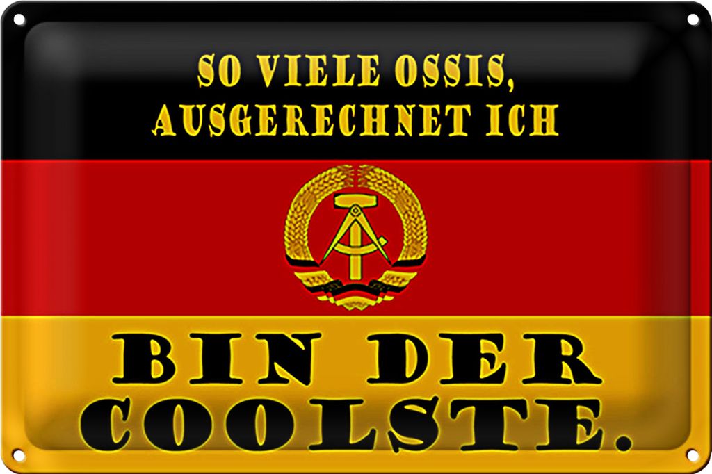 Blechschild Spruch 18x12cm so viele Ossis bin der coolste