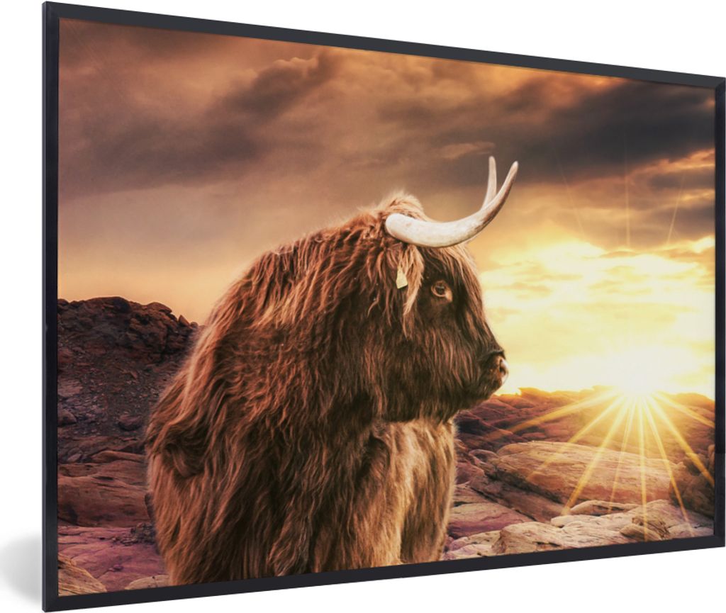 MuchoWow Gerahmtes Poster Schottischer Hochländer - Sonne - Horizont - Kuh - Tiere 30x20 cm - Poster mit Schwarzem Bilderrahmen Wandposter Rahme...