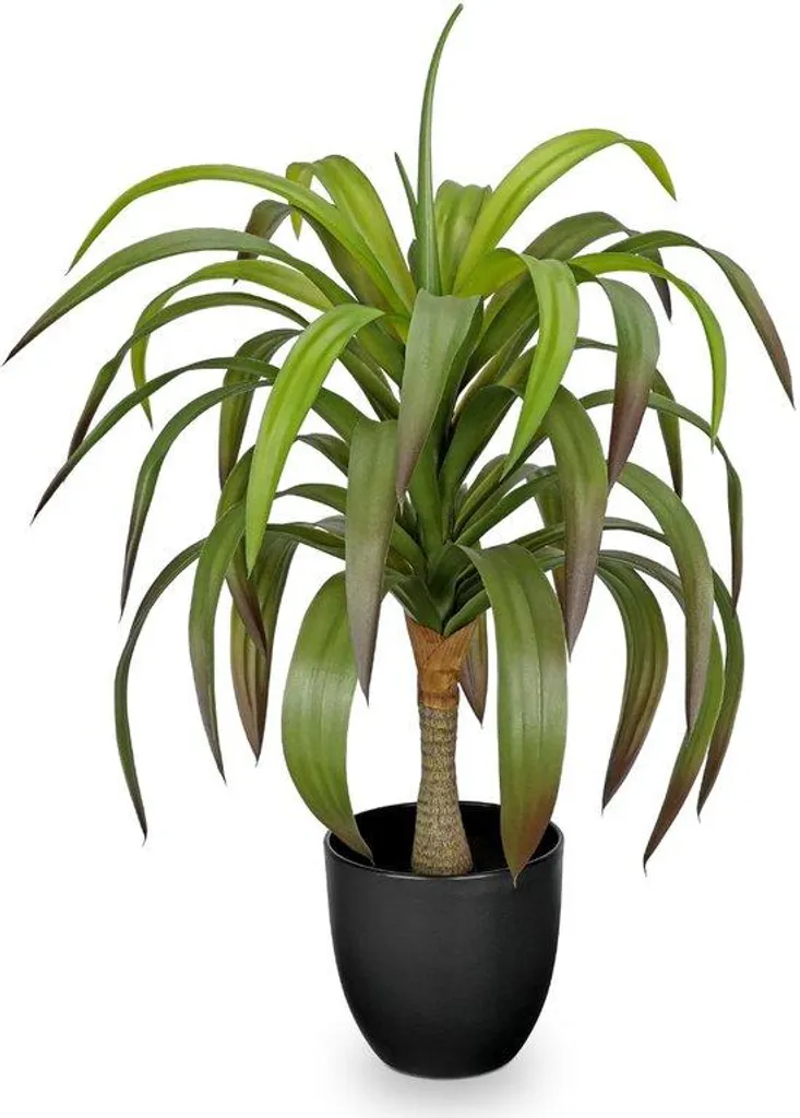 Bonsaï Artificiel Yucca 56 cm pour Décoration Intérieur et Extérieur