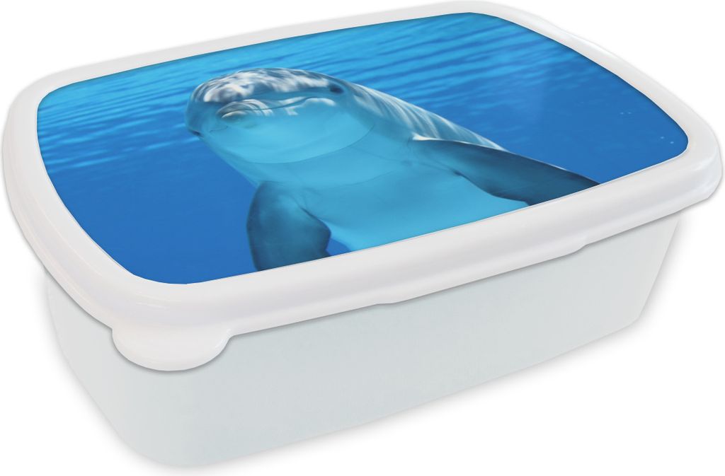 KitchenYeah Lunchbox Brotzeit Brotdose 17x11 cm Delfin - Wasser - Blau Kinder Brotzeitdose - Lunch Box - Kinder - Sandwich-Box - Schulbox - Lunch...