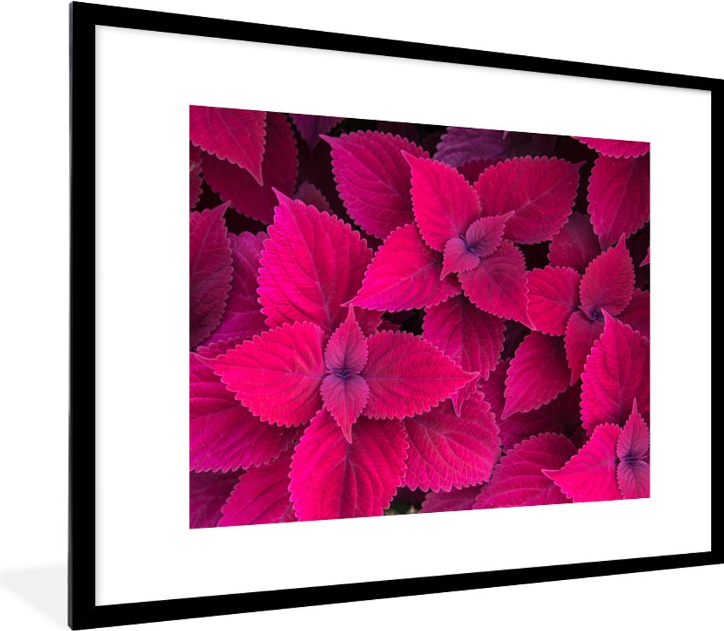 MuchoWow MuchoWow Gerahmtes Poster Blätter - Abstrakt - Muster 80x60 cm - Poster mit zchwarzem Bilderrahmen - Schlafzimmer-Dekorationen - Foto...