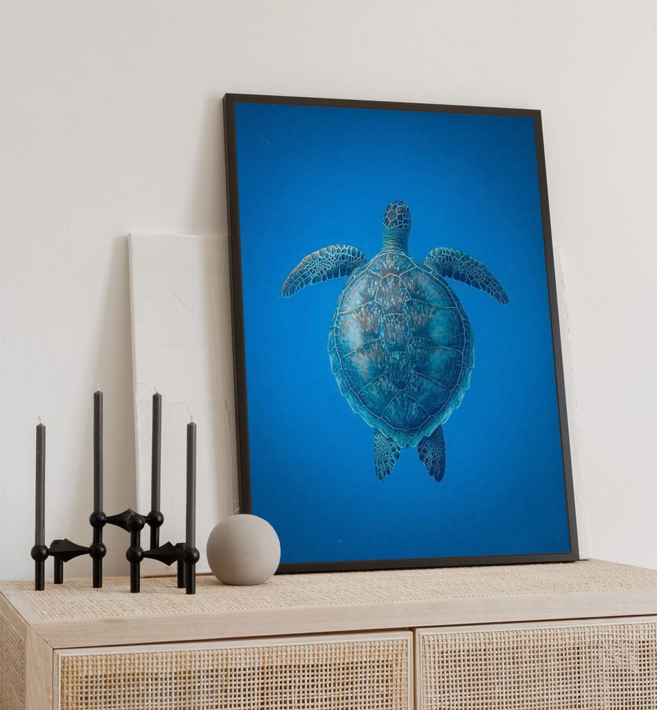 Poster schwebende Schildkröte, groesse_poster:21x30 cm, groesse_rahmen:weiß Passepartout 30x40 cm