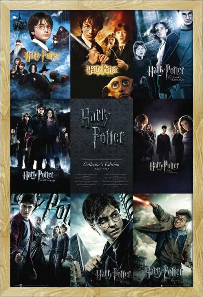 Poster Harry Potter Cadre Amovible Shinsuke Bois Hêtre Vitre Incassable