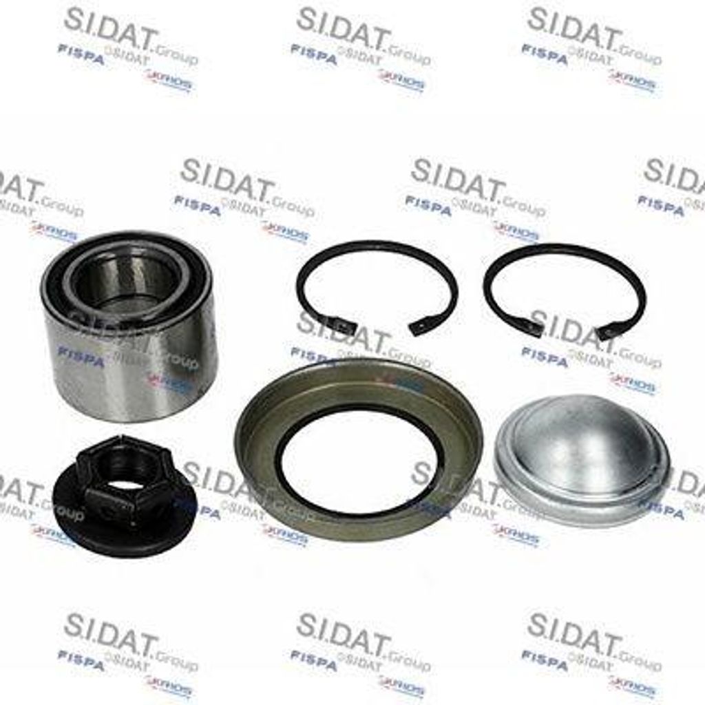 SIDAT Radlagersatz Hinten für FORD Fiesta Mk5 Schrägheck (JH1, JD1, JH3, JD3) 53mm 460079