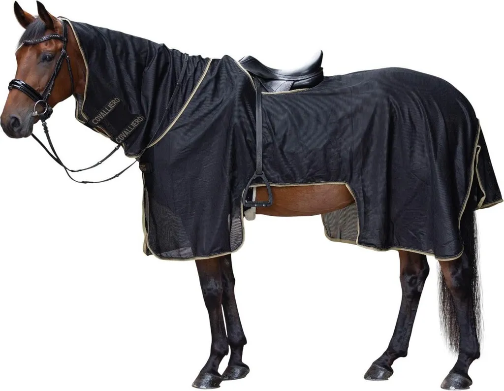 Come scegliere la coperta per il cavallo | Selleria Faggin