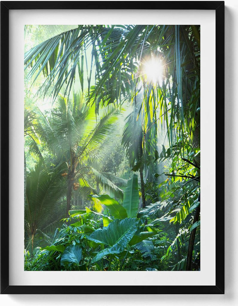 Grüner Dschungel voller Pflanzen– Wandbild mit Rahmen – Gerahmtes Bild – Wanddekoration – 60x80 cm – Schwarz Rahmen