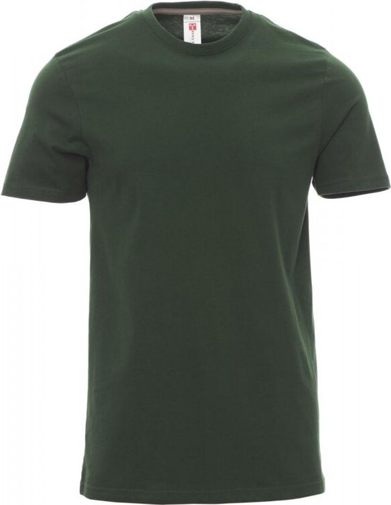 PAYPER T-Shirt SUNRISE – Kurzarm Herren-Shirt aus Baumwolle mit Rundhalsausschnitt, seitlichen Nähten und angenehmer Passform grün 3XL