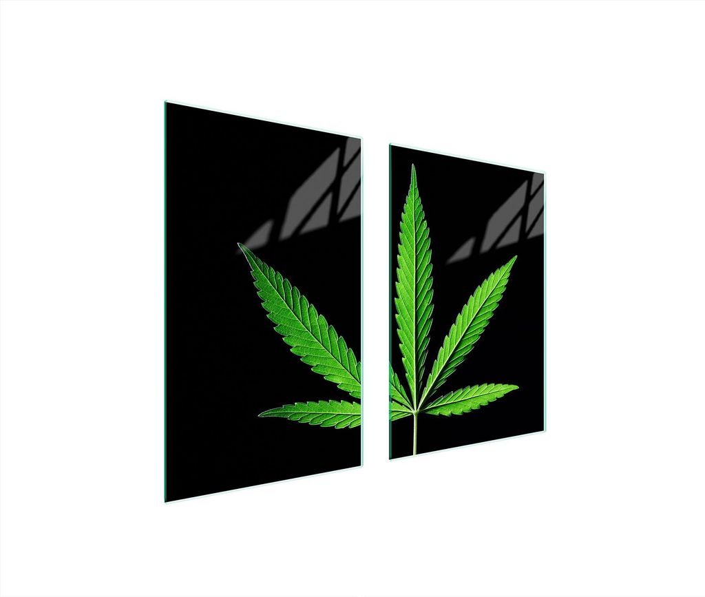 Glasschutzplatte Für Küche 65X52 Blatt