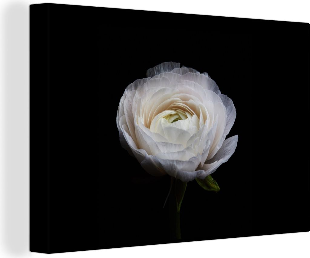 OneMillionCanvasses - Leinwandbilder - 140x90 cm, Blume - Schwarz - Weiß, Wandbilder Kunstdruck Wanddekoration - Foto auf Leinwand - Gemälde au...