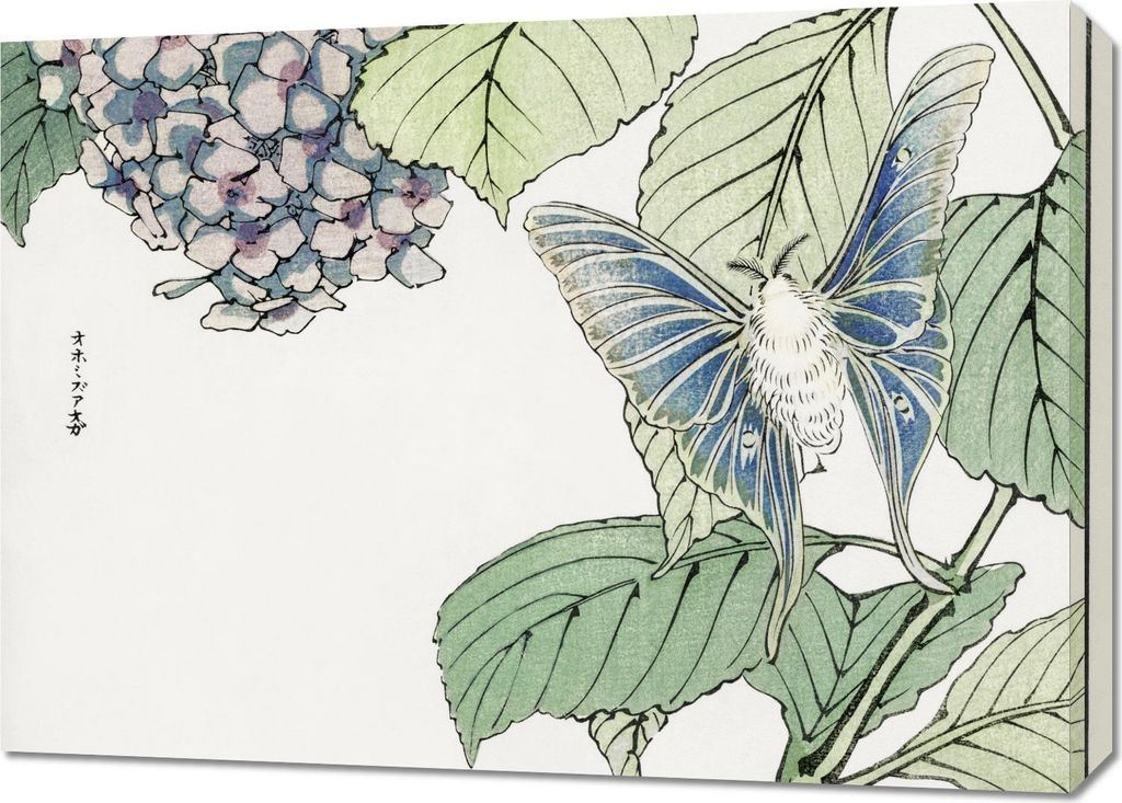 Bild 70x50cm Motte und Pflanzen Morimoto Toko Japanisch Vintage für das Wohnzimmer