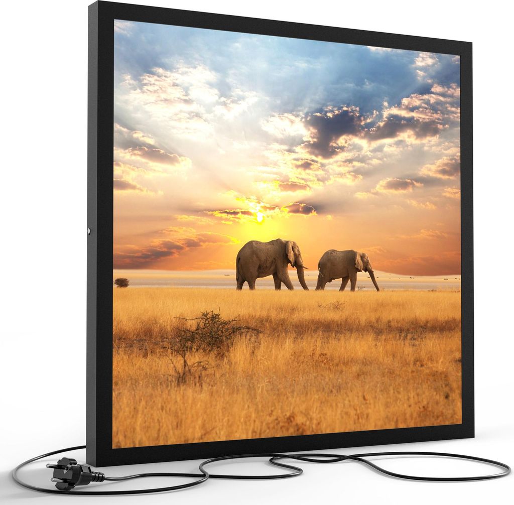DEQORI LED-Bild & Lampe 60x60 cm Schwarz 'Elefanten in der Steppe' Leuchtbild LED Leuchte