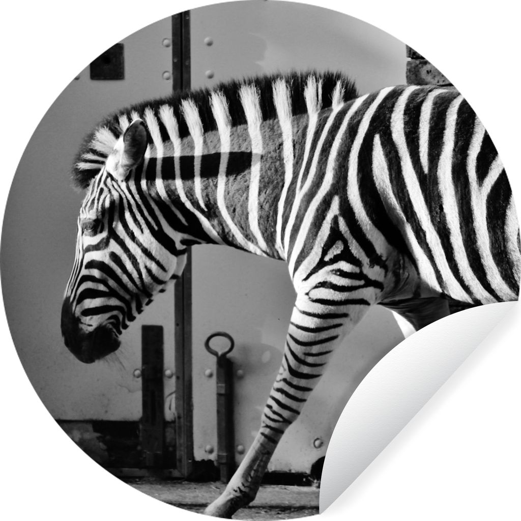 MuchoWow Runde Wandtattoo - Wandsticker Tapete Aufkleber Zebra - Wand - Tür - Tiere - Schwarz und weiß Ø 80 cm Selbstklebend und Repositionier...