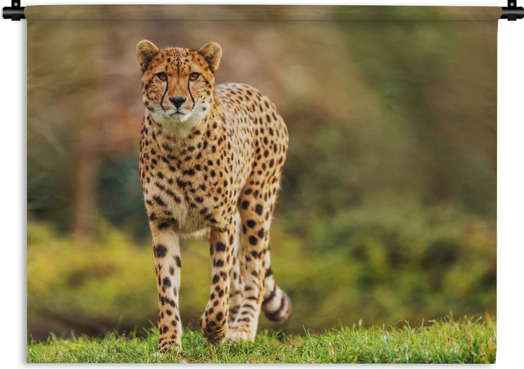 MuchoWow Wandteppich Wandbehang Wildtiere - Gras - Leopard - Natur 150x112.50 cm Tapisserie Dekoration Wandtuch - Wanddecke - Wandteppiche