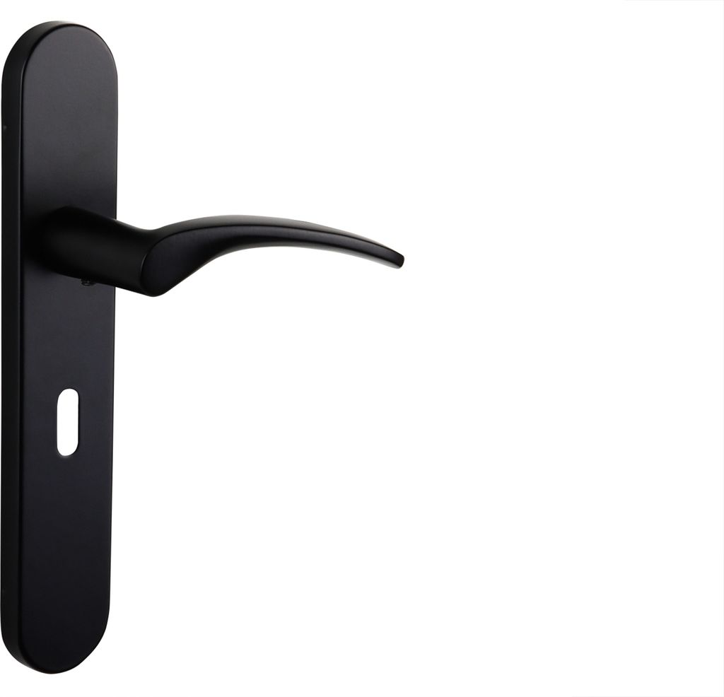 Lavuzo Türgriff Lodini Schwarz mit abgerundetem Schild SL56 - Pro Set