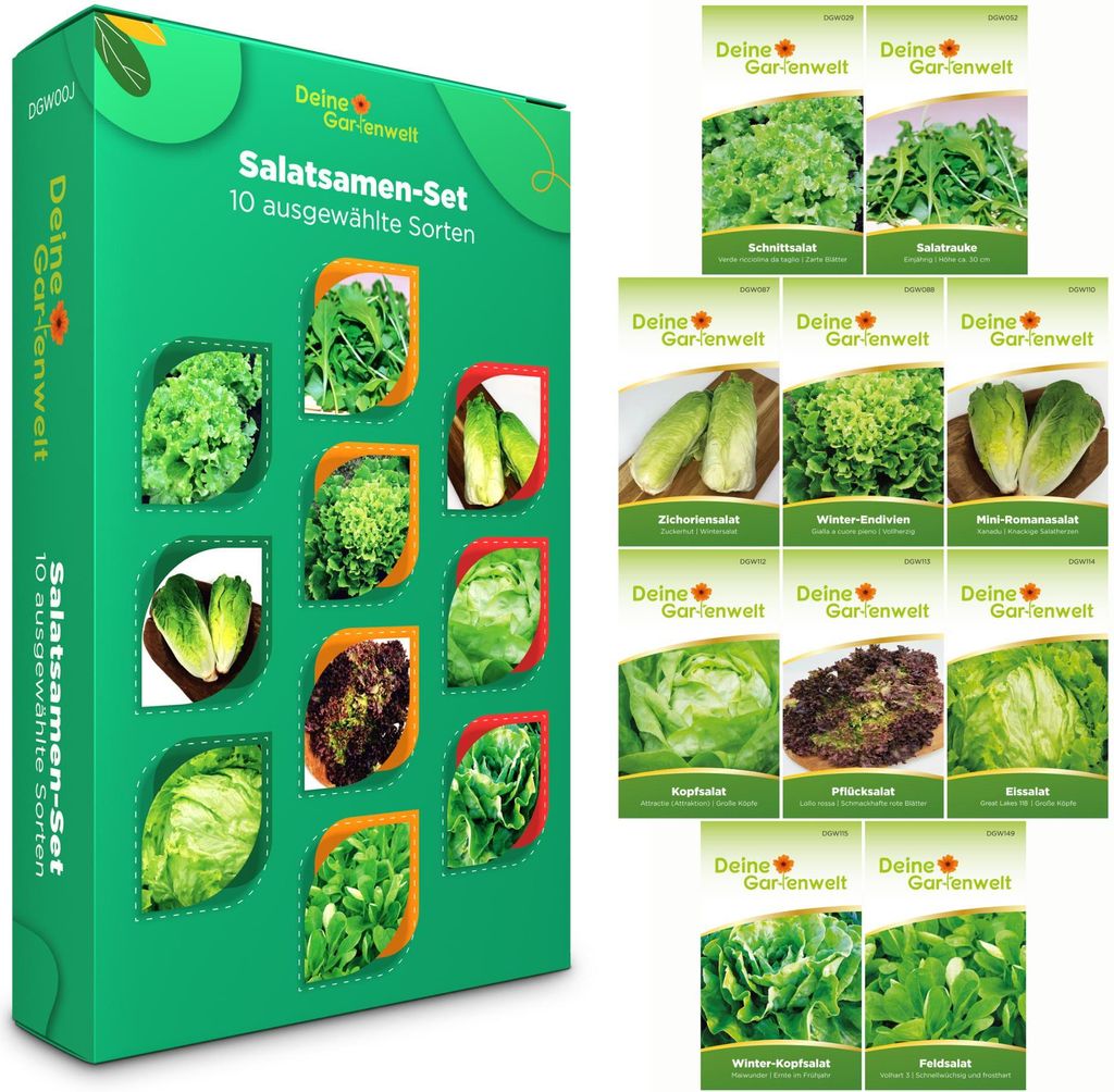 Salatsamen Set - 10 Sorten Samen - Saatgut Sortiment - Anzuchtset für Salat - Geschenkset - Schnittsalat, Feldsalat, Kopfsalat, Wintersalat, Eissa...