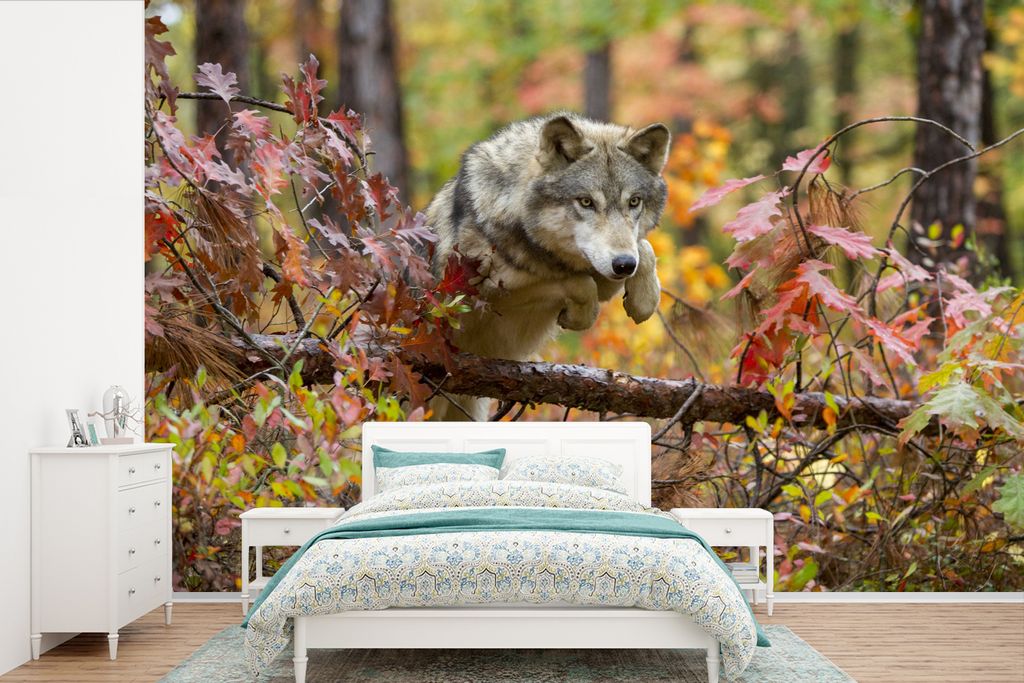 MuchoWow Fototapete für Wohnzimmer oder Schlafzimmer Wandtapete Vinyl Motivtapete Wolf - Ast - Wald - 330x220 cm - Fototapeten