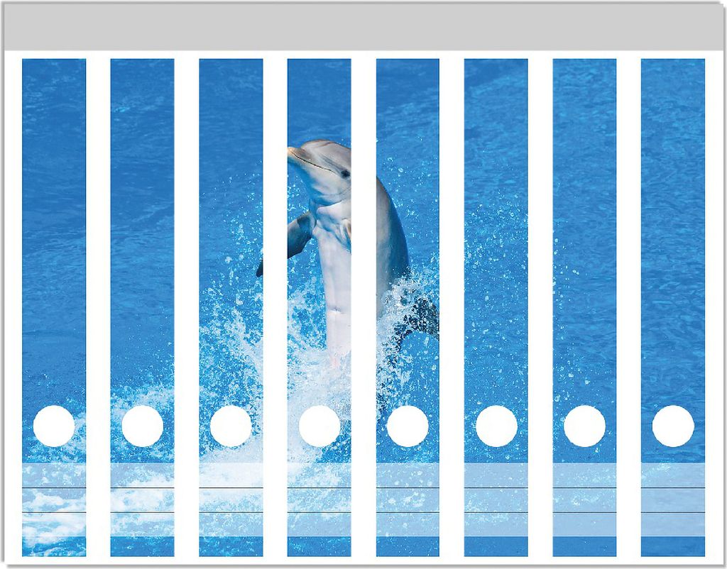 Wallario Ordnerrücken Sticker, selbstklebend für schmale Ordner, 8 Stück, Motiv Fröhlicher Delfin im blauen Wasser