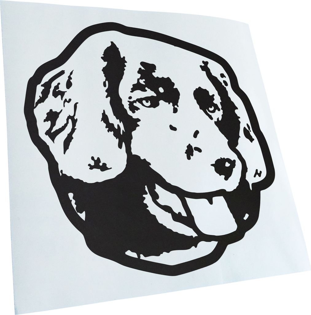 Kiwistar - Autoaufkleber - Stabyhoun Hund - Mattschwarz - 24x24cm - Aufkleber für Auto, Laptop, Fahrrad, LKW, Motorrad Mehrfarbig JDM Decal Racing