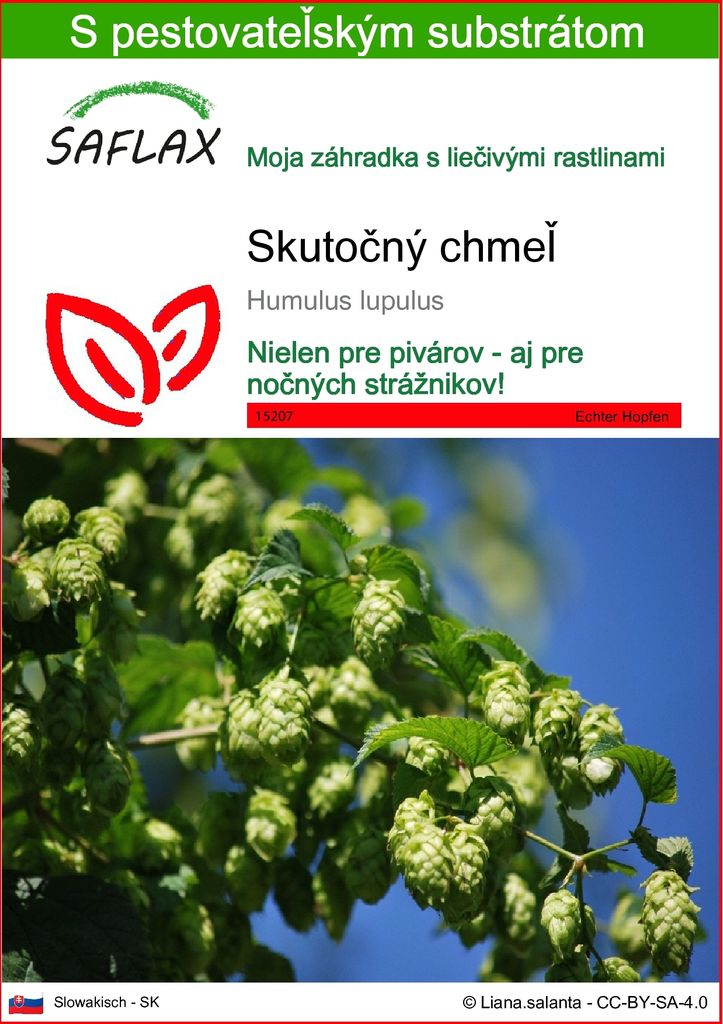 SAFLAX - skutočný chmeľ - Humulus lupulus - 50 Semená - S Obrázok produktu 