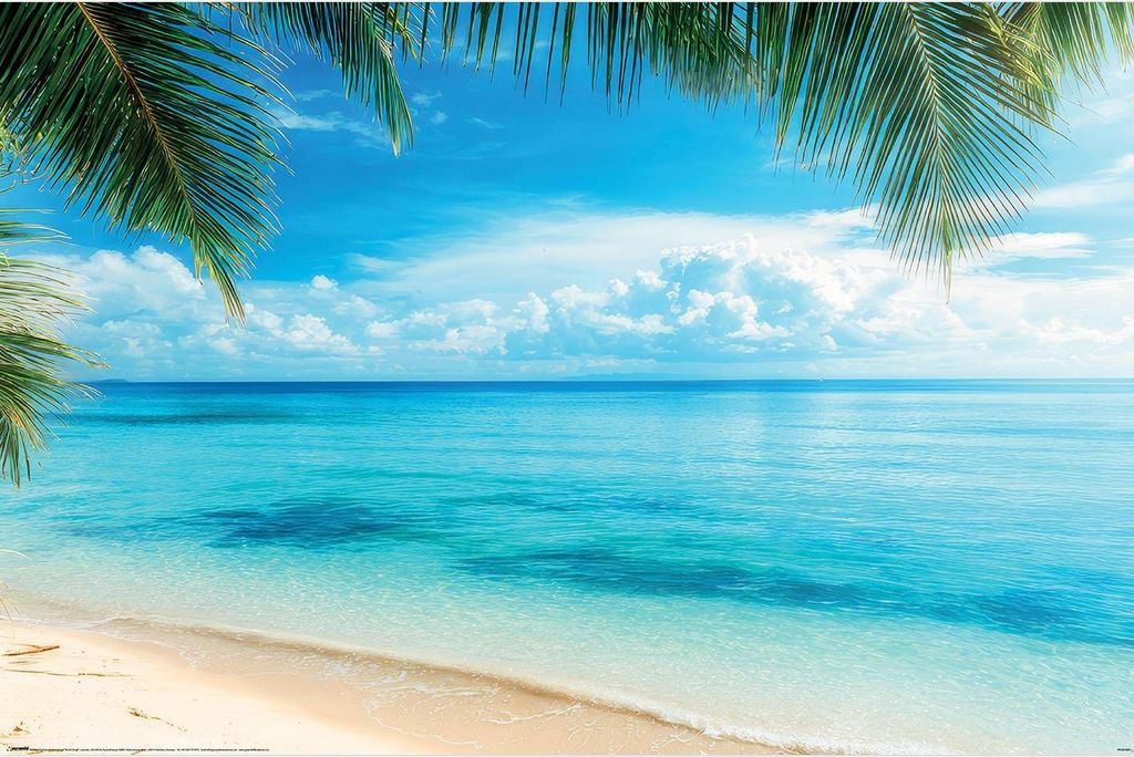 Pyramid International - Ozean-bedruckt PM12566 (91,5 cm x 61 cm) (Bunt)