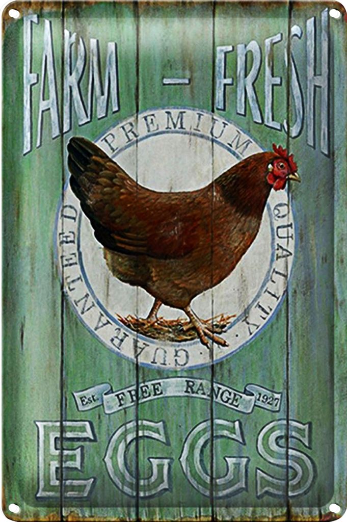 Blechschild Spruch 18x12cm Huhn Farm fresh Eggs free range