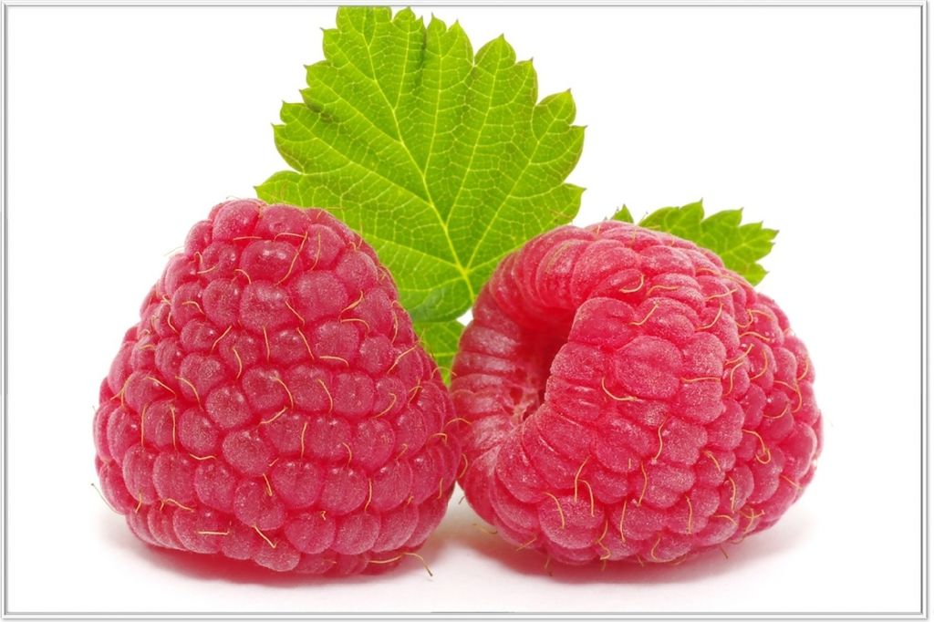 Wallario Wandbild Himbeeren mit grünem Blatt auf weißem Grund, Größe: 61 x 91,50 cm, Poster mit weißem Aluminiumrahmen